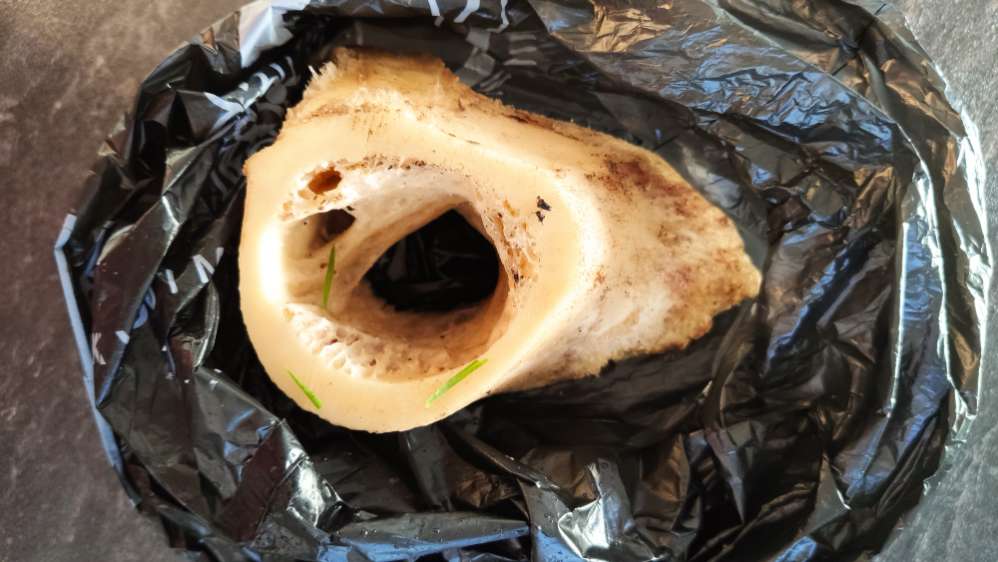 Giftköder-Marksknochen an der Wendelinushalle-Profilbild