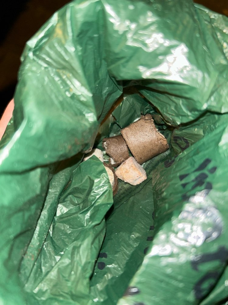 Giftköder-Giftköder am Hanseplatz-Profilbild