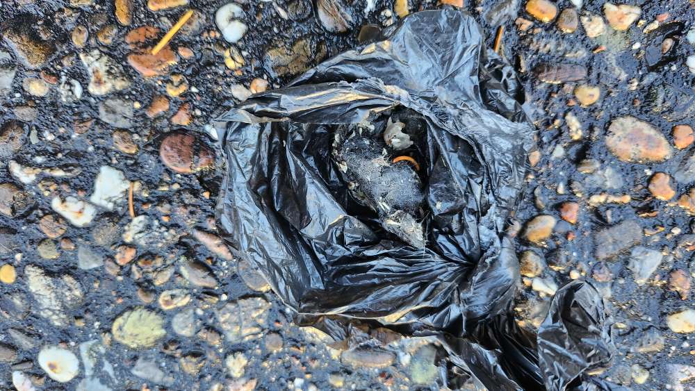 Giftköder-Knochen und undefinierbare "Kugel"-Profilbild