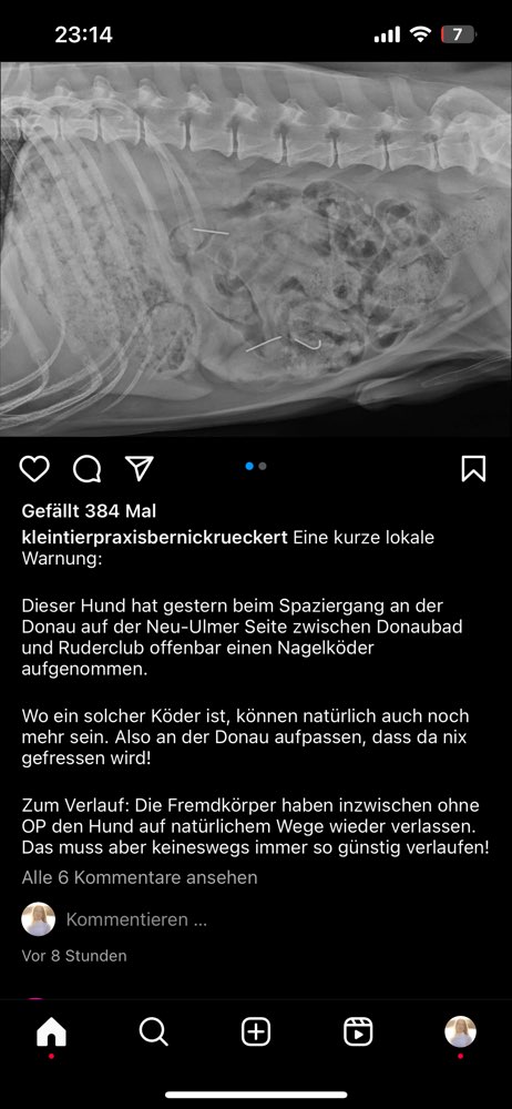 Giftköder-Wurst mit Nägeln-Profilbild