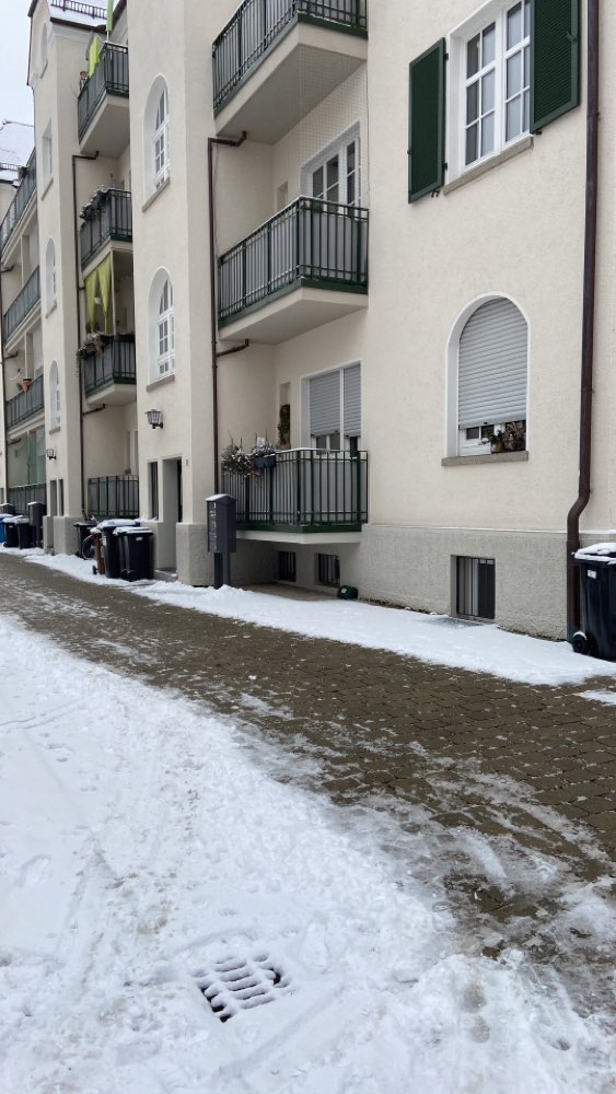 Giftköder-Rattengift!-Profilbild