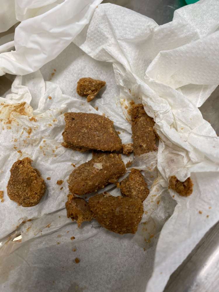 Giftköder-Giftköder-Profilbild