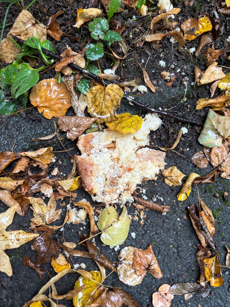 Giftköder-Giftköder-Profilbild