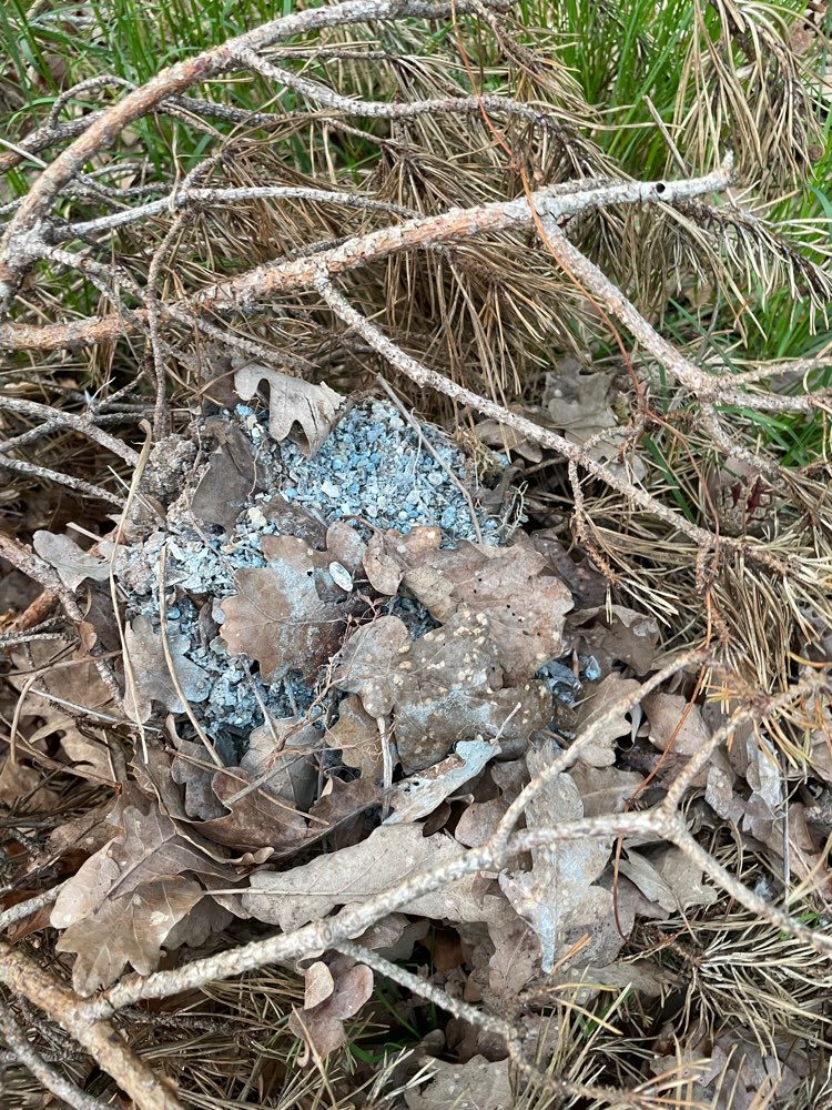 Giftköder-Blaues Granulat, Nagergift oder Dünger-Profilbild