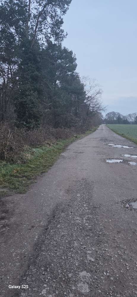 Giftköder-Evtl. Giftköder-Profilbild