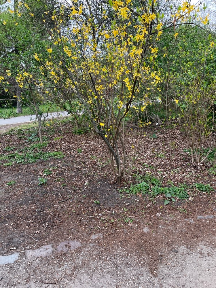 Giftköder-Rattengift? Volkspark Friedrichshain-Profilbild