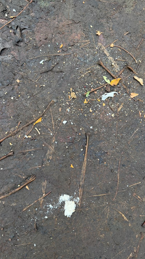 Giftköder-Undefinierbares Pulver auf dem Weg-Profilbild