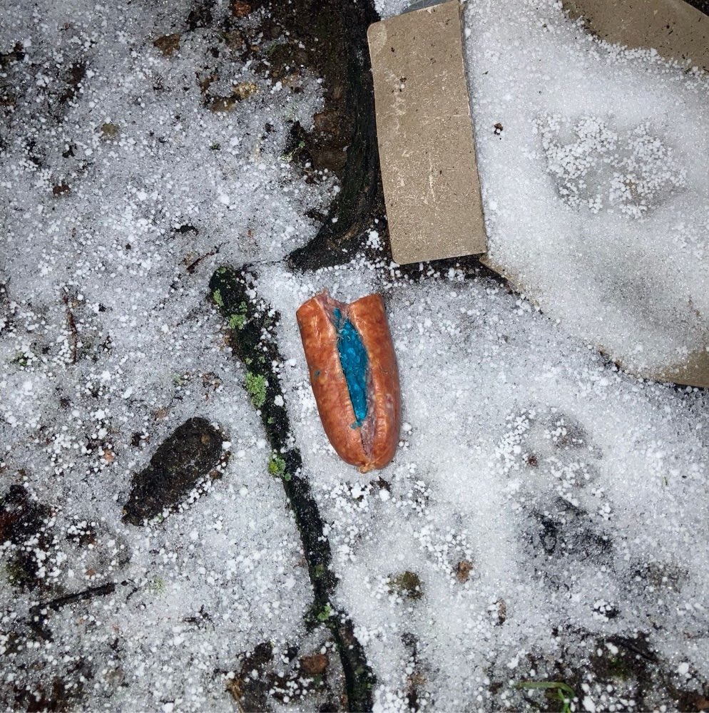 Giftköder-Wurst mit Giftköder (s. Foto)-Profilbild