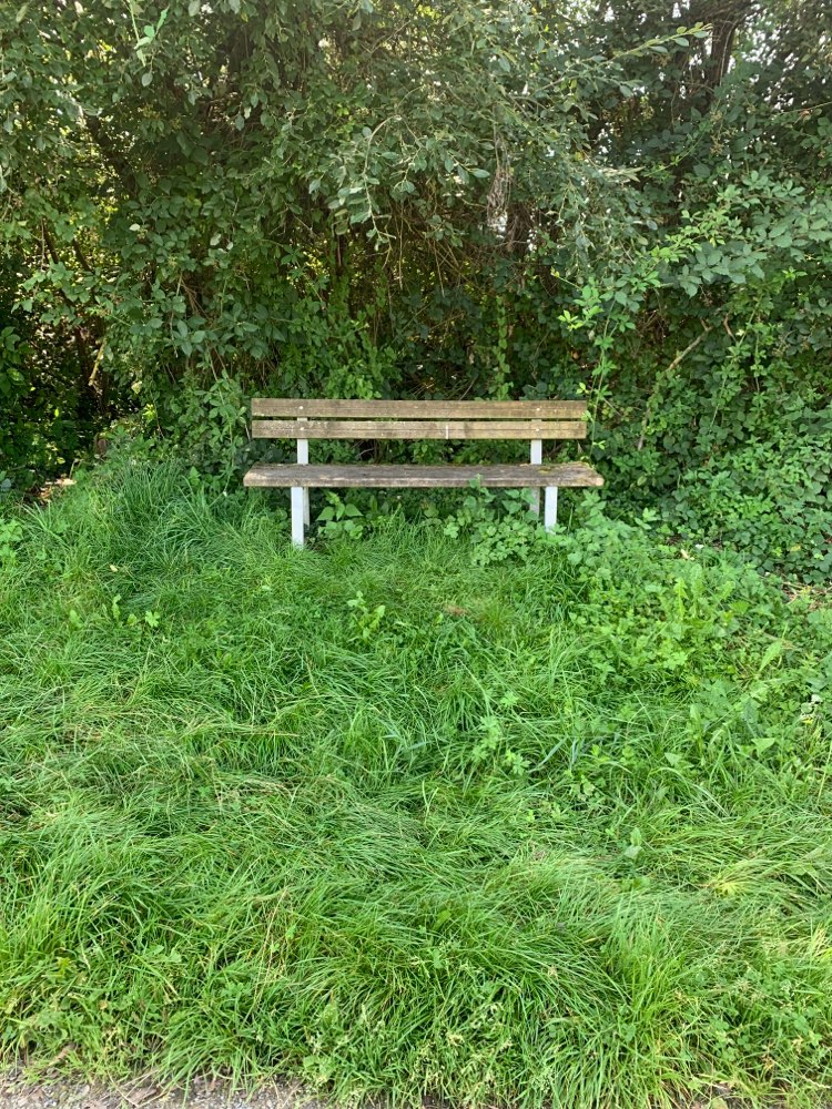 Giftköder-Vermutlich Giftköder-Profilbild