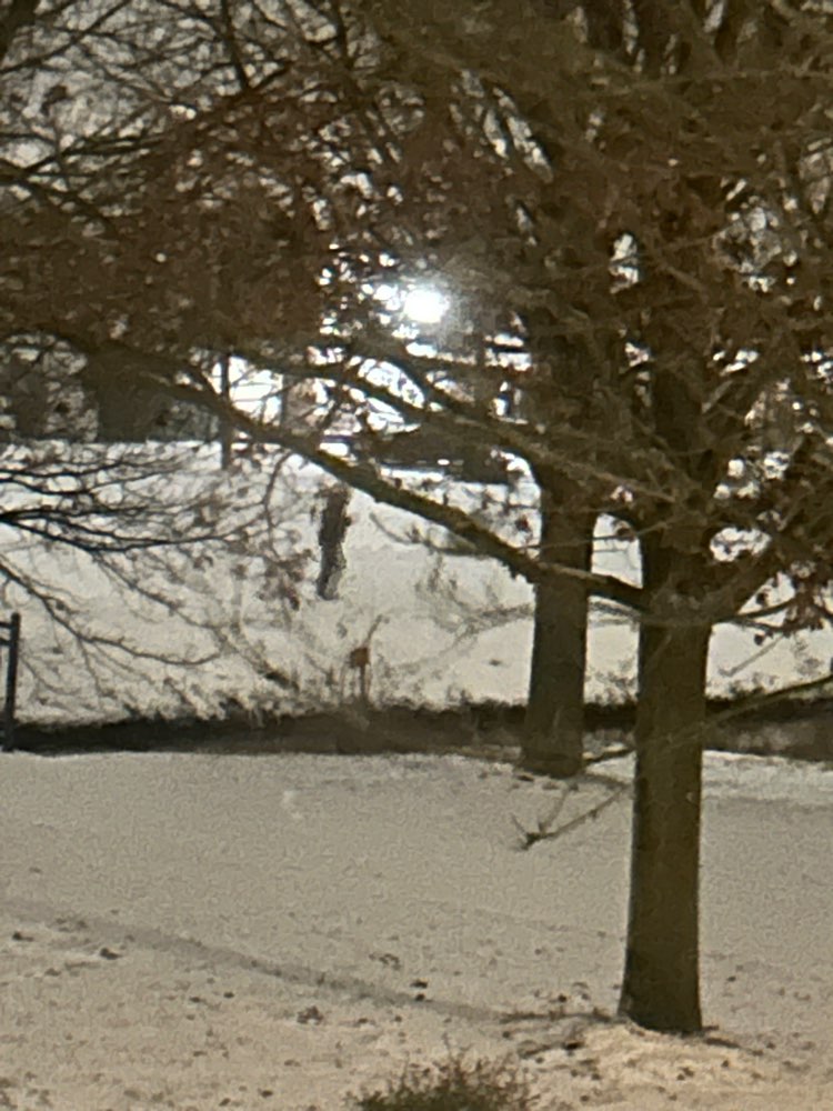 Giftköder-Mögliche Giftköder-Profilbild