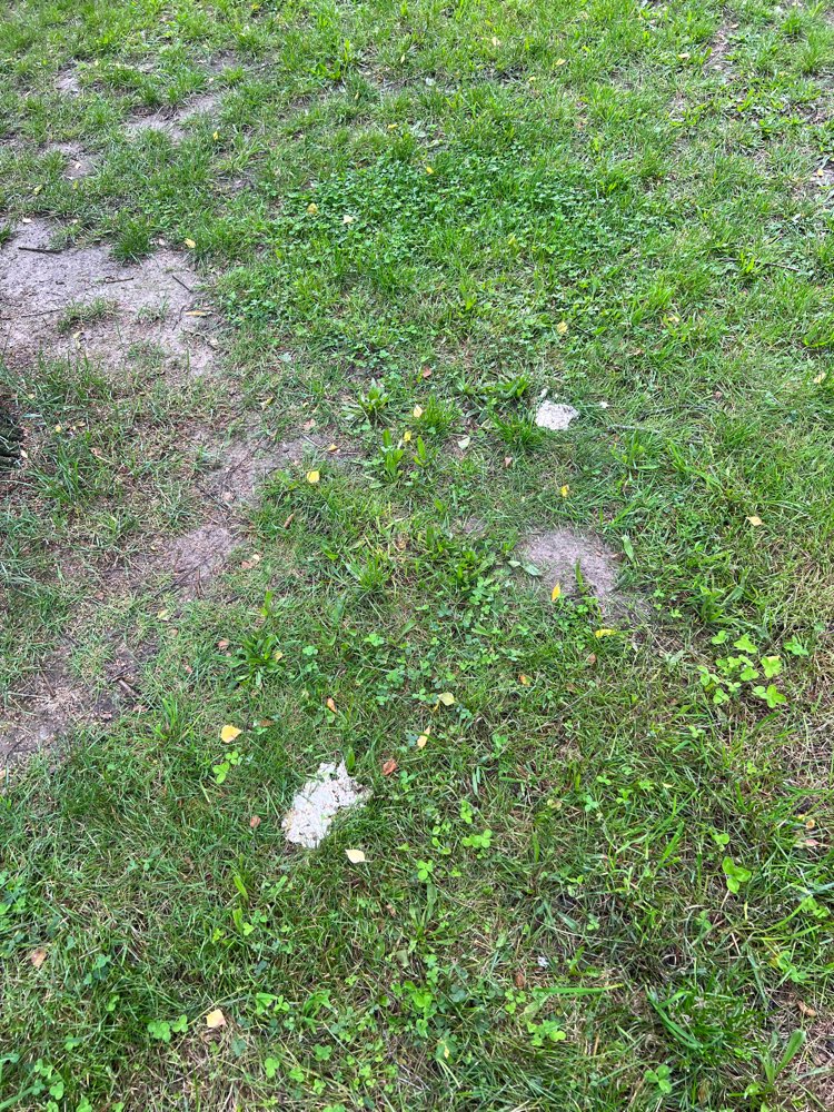 Giftköder-Weißes Pulver-Profilbild