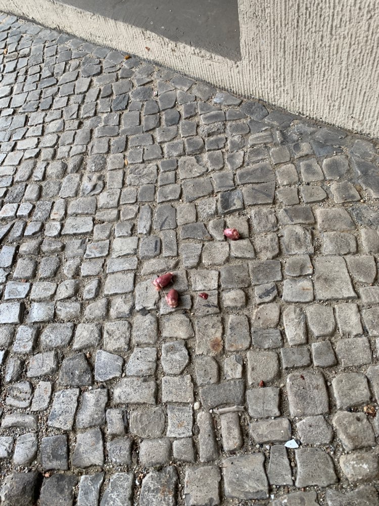 Giftköder-Hühnerherzen, evtl. Giftköder-Profilbild