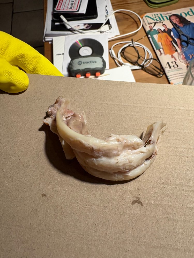 Giftköder-Giftköder, vom Tierarzt bestätigt-Profilbild