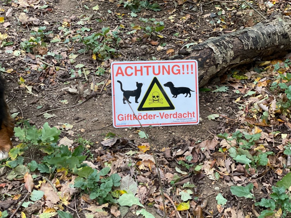 Giftköder-Evtl. Giftköder-Profilbild