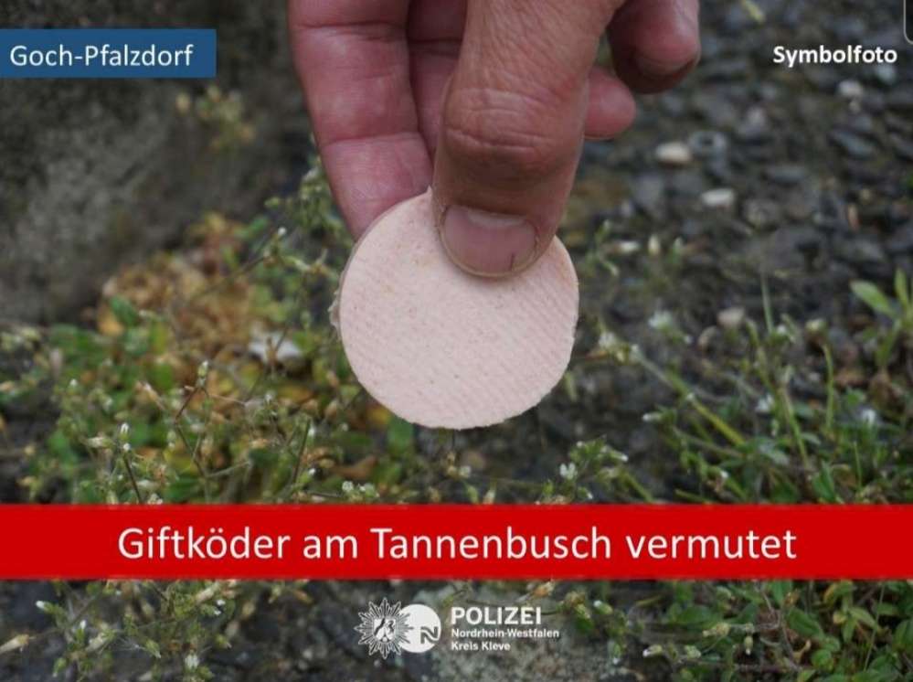 Giftköder-Giftköder-Profilbild