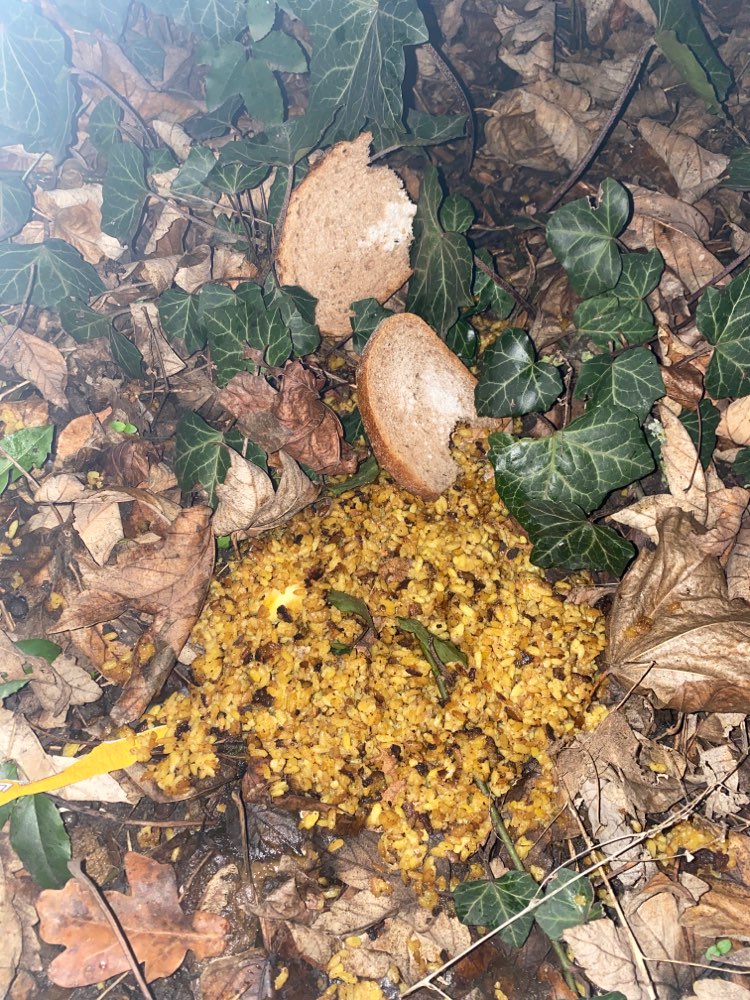 Giftköder-Verschüttetes Essen im Busch-Profilbild