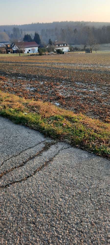 Giftköder-Giftköder-Profilbild