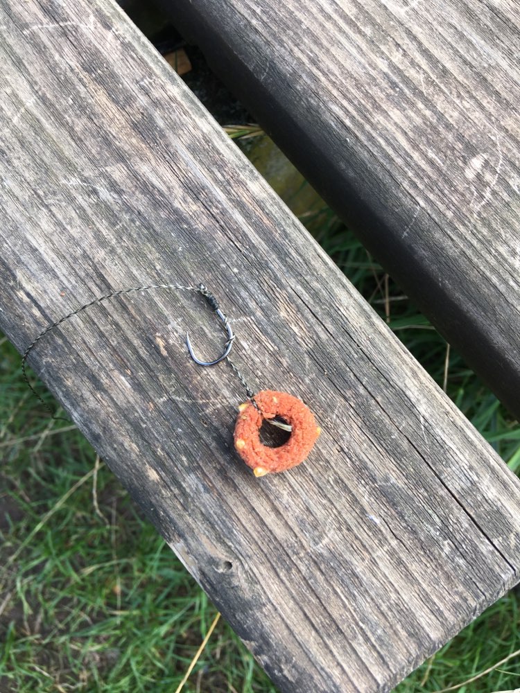 Giftköder-Angelhaken mit Schnur an Frolic-Profilbild