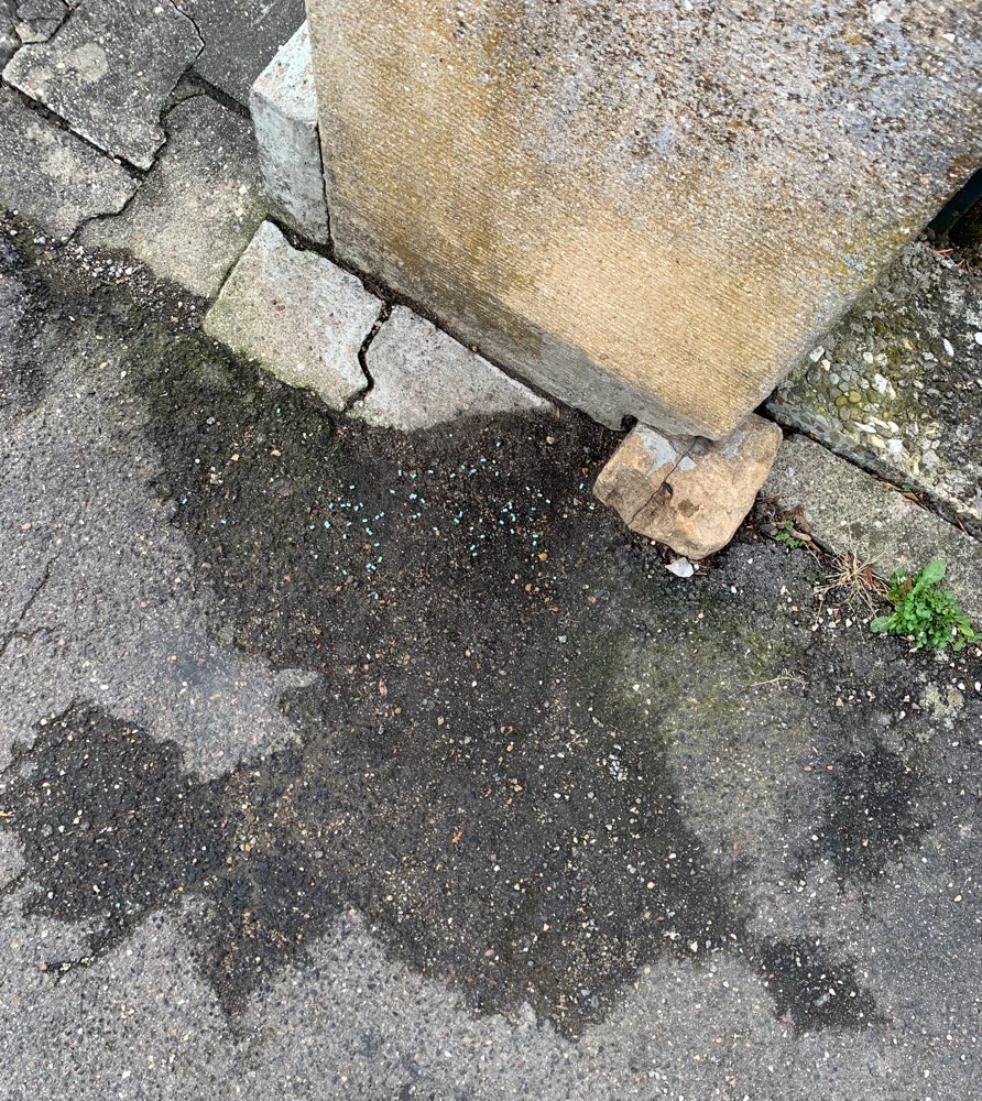 Giftköder-Gift / Schneckenkorn-Profilbild