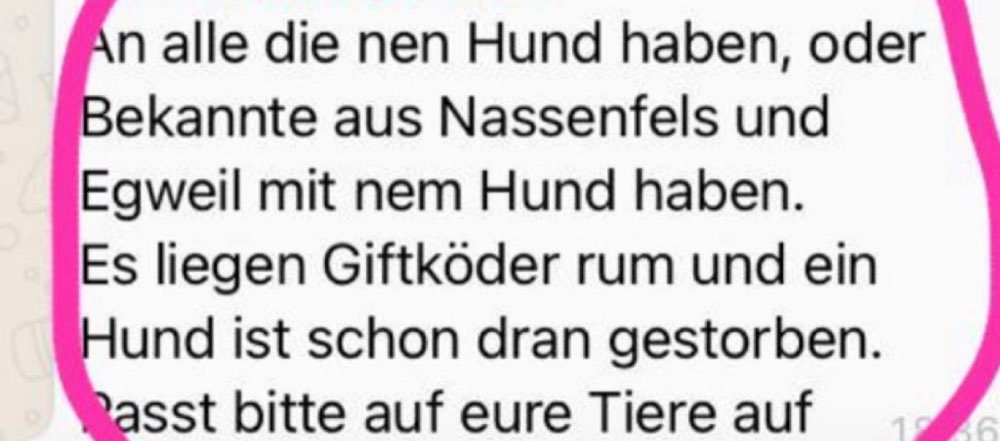Giftköder-Giftköder-Profilbild