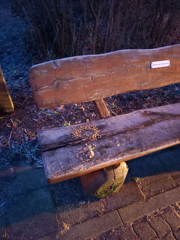 Giftköder-Vermutlicher Giftköder-Profilbild