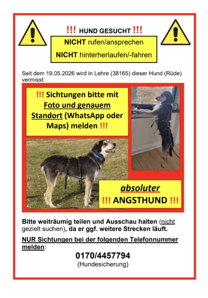 Suchmeldung-Enzo-Profilbild