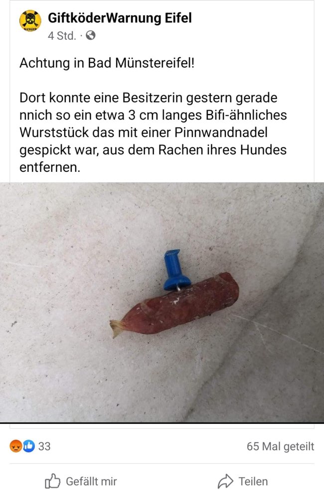 Giftköder-Bifi mit Pinnwandnadel-Profilbild
