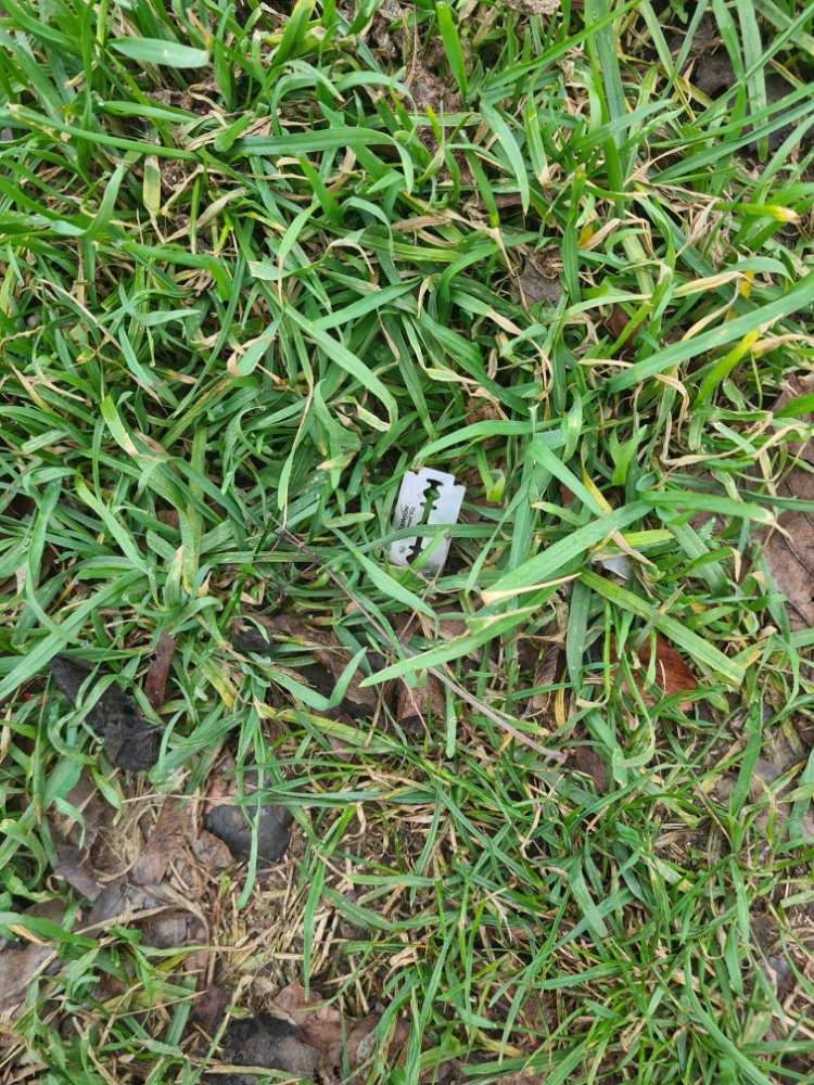 Giftköder-Rasierklinge in Grünstreifen-Profilbild