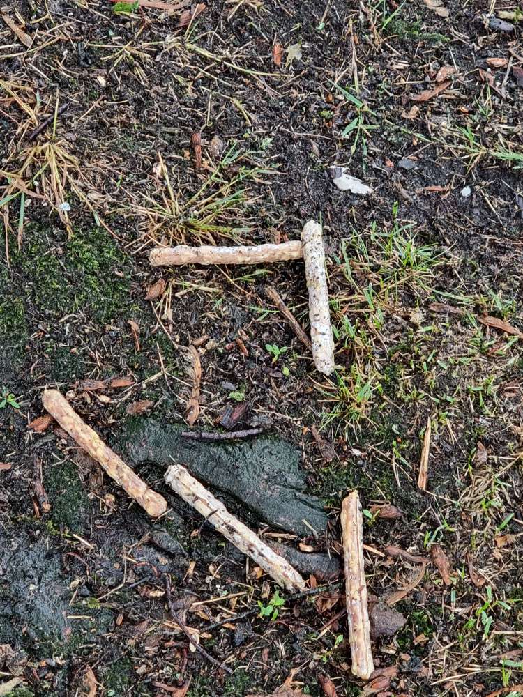 Giftköder-Eventuell Giftköder-Profilbild