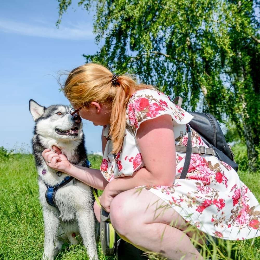 Ersteller:in Spiel/Gassi Freund gesucht Profilbild