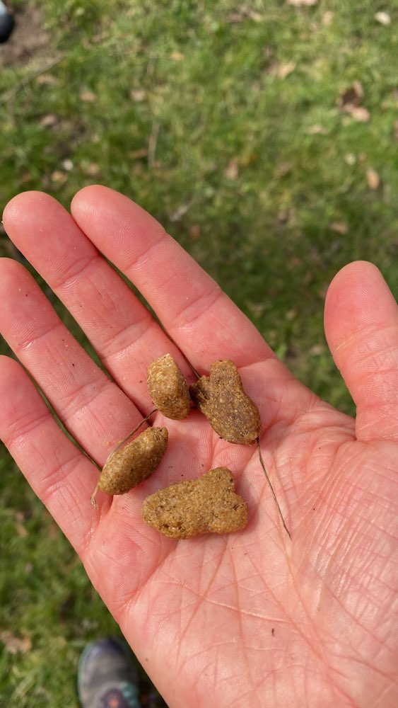 Giftköder-Trockenfutter Stückchen-Profilbild