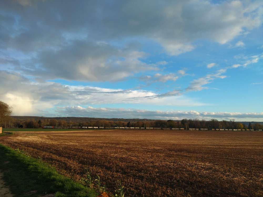 Hundetreffen-Gassi und Spielsunde in den Weinbergen-Profilbild