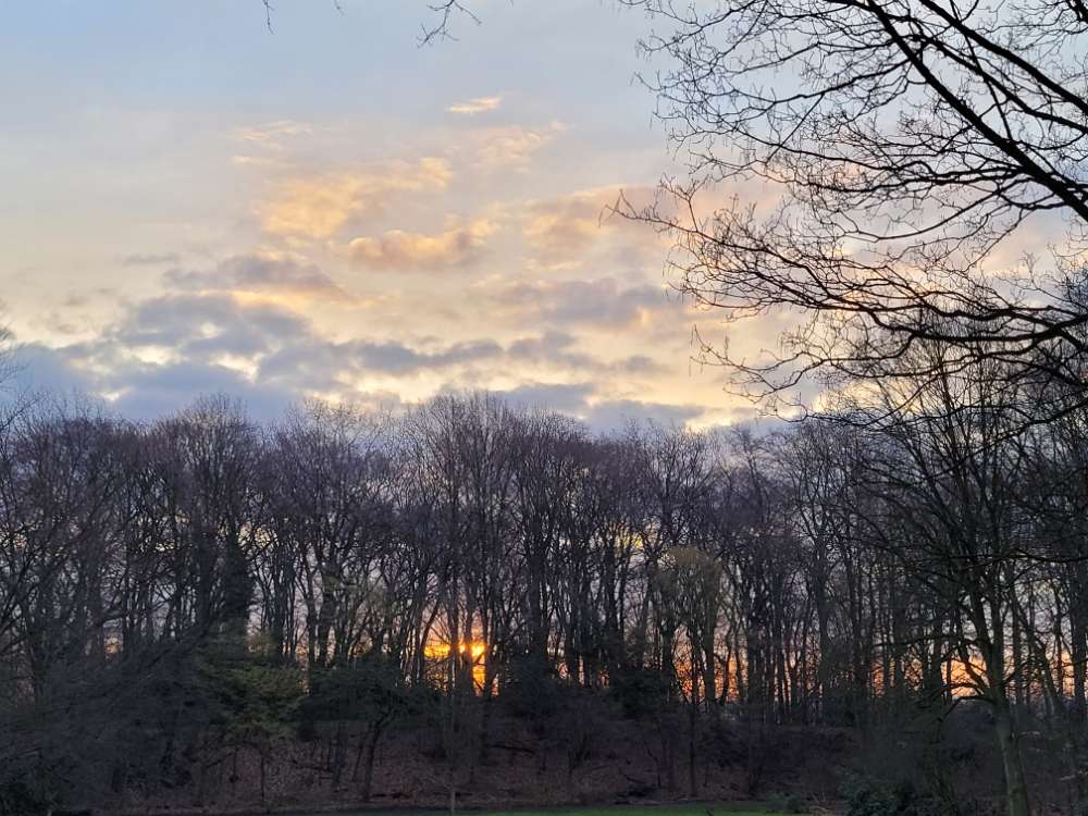 Giftköder-Giftköder, offensichtlich Rattengift-Profilbild