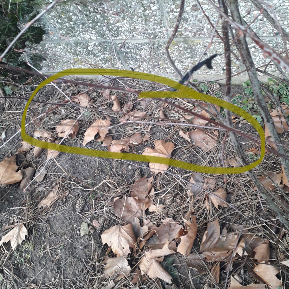 Giftköder-Scharfer Draht gespannt-Profilbild