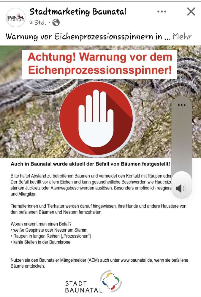 Giftköder-Eichenprozeßspinner-Profilbild
