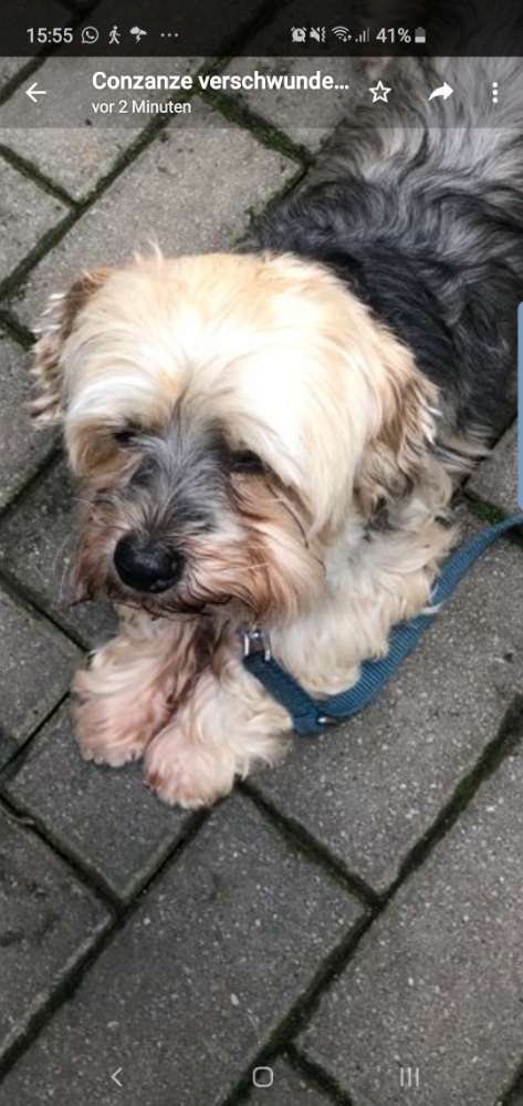 Suchmeldung-Ronny-Profilbild