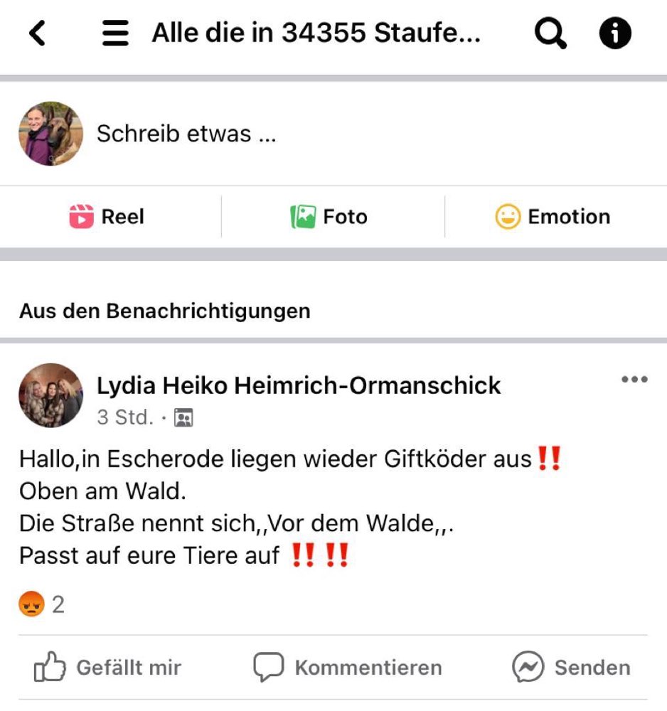 Giftköder-Giftköder-Profilbild