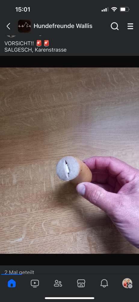 Giftköder-Giftköder-Profilbild