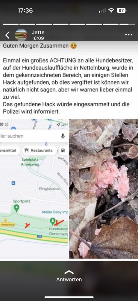 Giftköder-ausgelegte Fleischbällchen-Profilbild