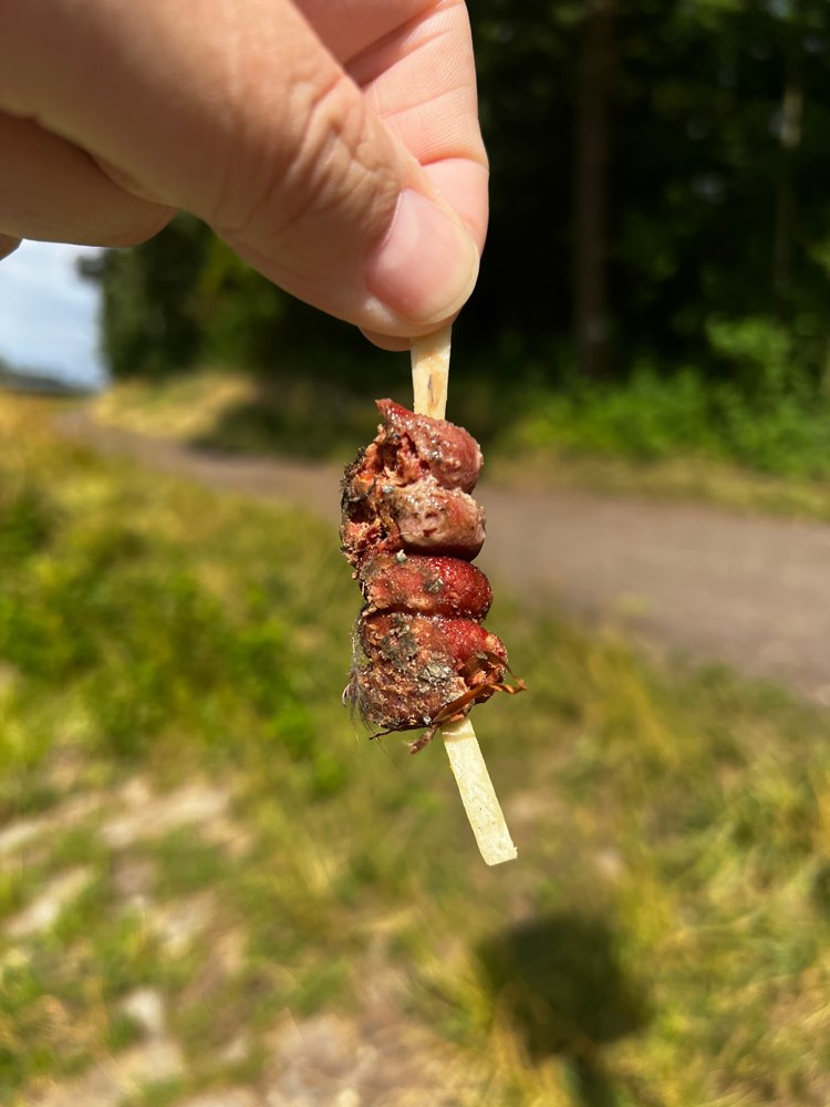 Giftköder-Möglicher Giftköder-Profilbild