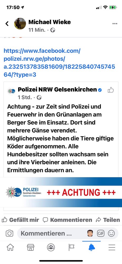 Giftköder-Giftköder-Profilbild