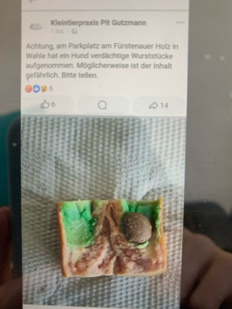 Giftköder-Giftköder Parkplatz Fürstenauerholz-Profilbild