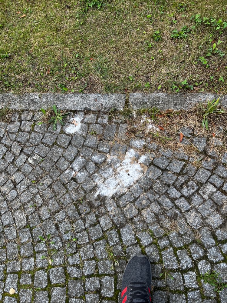 Giftköder-Weißes Pulver auf dem Gehweg in Biesdorf-Profilbild