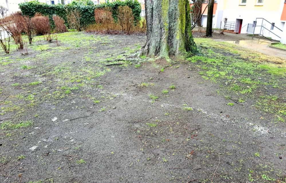 Giftköder-Weißes Pulver-Profilbild