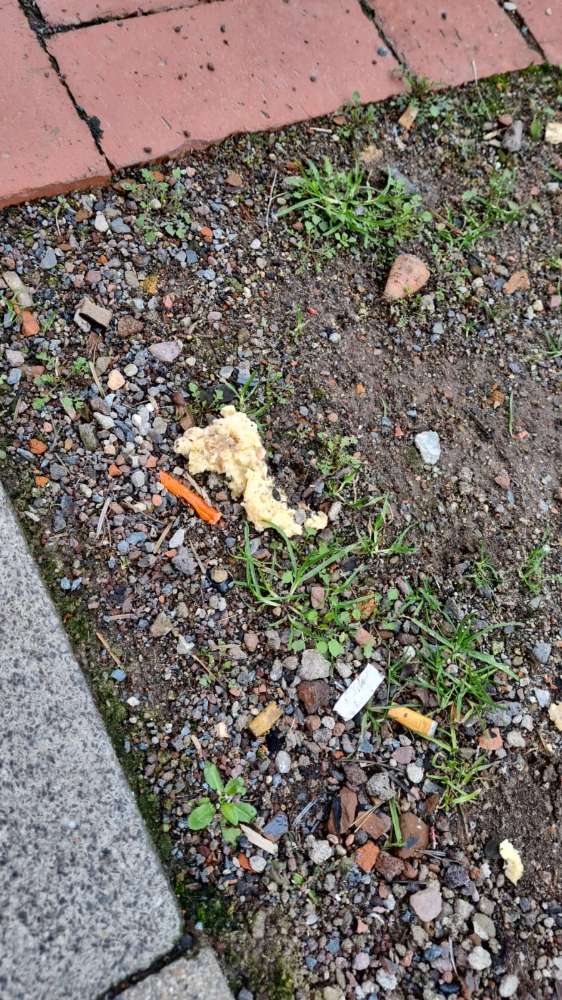 Giftköder-Möglicher Giftköder Sophienstraße-Profilbild