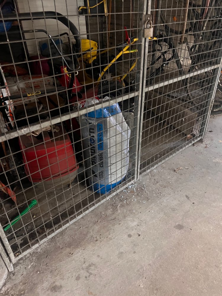 Giftköder-Blaukorn in Tiefgarage und Umgebung-Profilbild