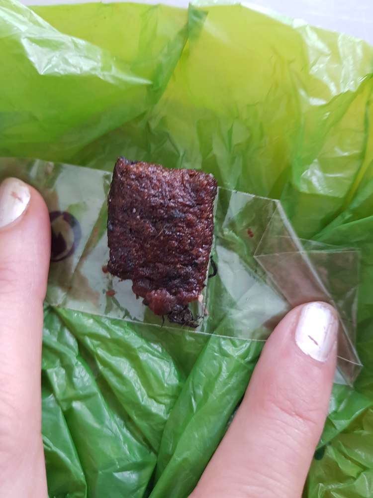 Giftköder-Möglicherweise Giftköder-Profilbild