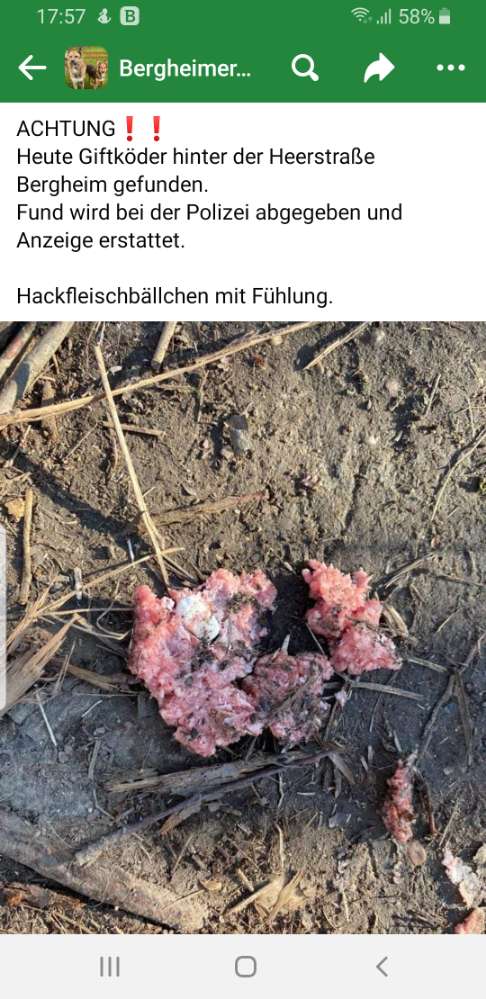 Giftköder-Wieder Giftköder in Bergheim-Profilbild