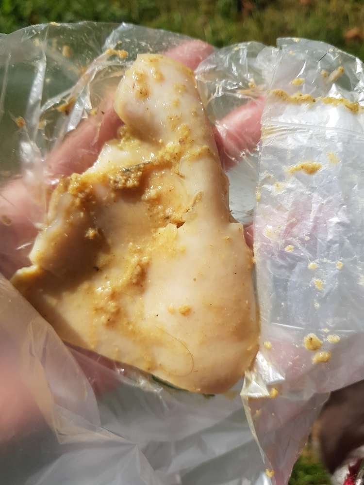 Giftköder-Rohes Fleisch in Freilaufzone verteilt-Profilbild