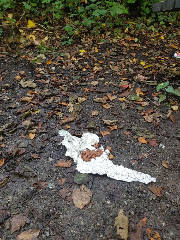 Giftköder-Leckerchenhaufen auf Alufolie-Profilbild